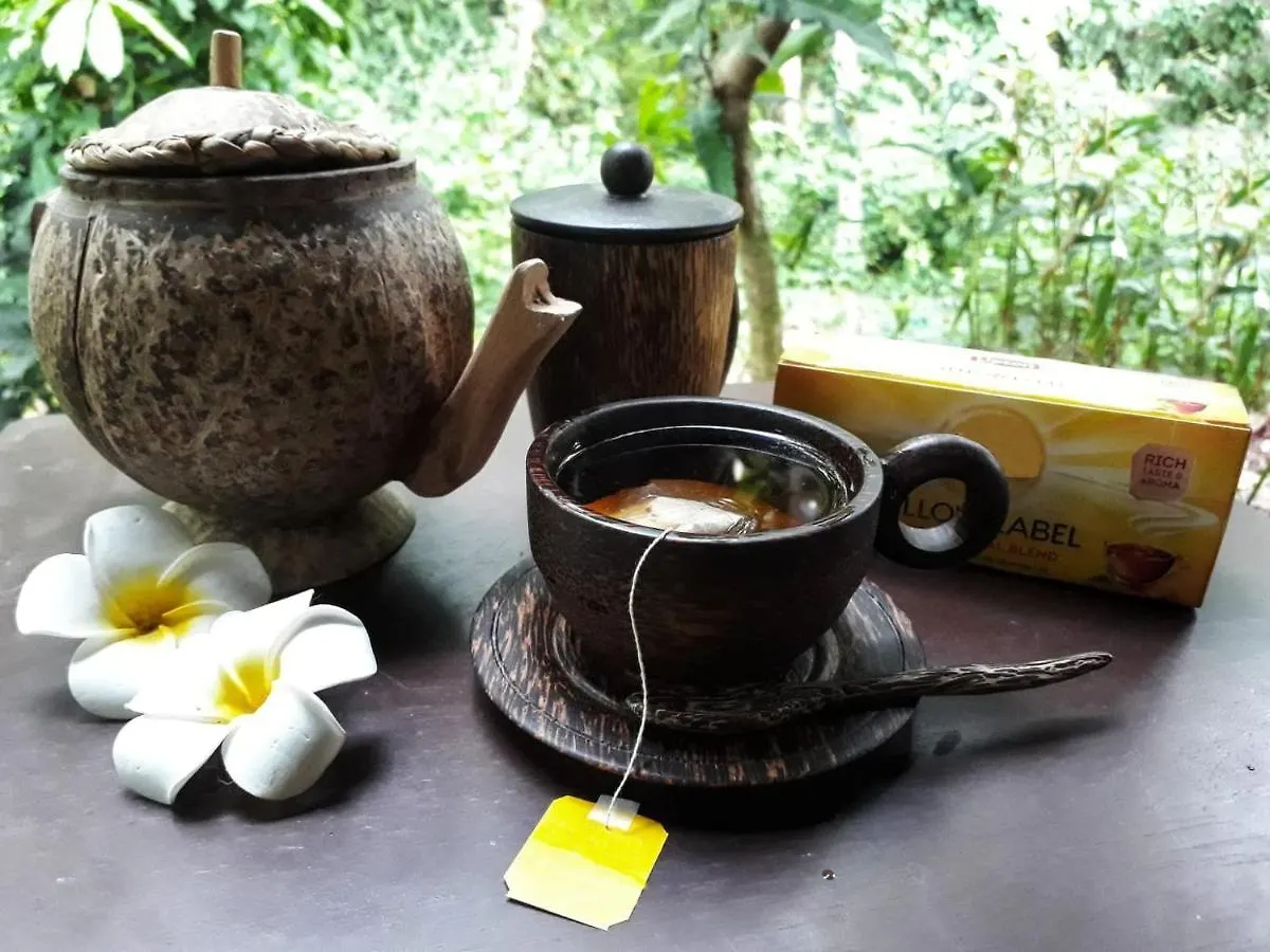 Barefoot Inn Kandy